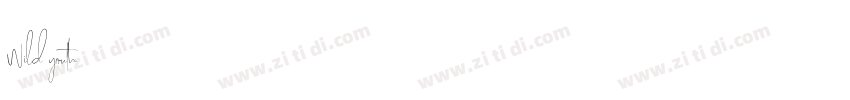 Wild youth字体转换